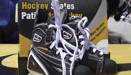 New Powertek Recreational Skates